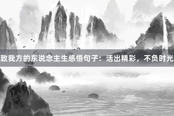 致我方的东说念主生感悟句子：活出精彩，不负时光